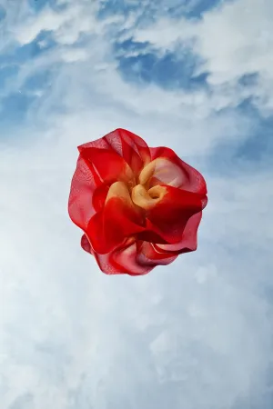 Mini Scrunchie In Gold Red Duo